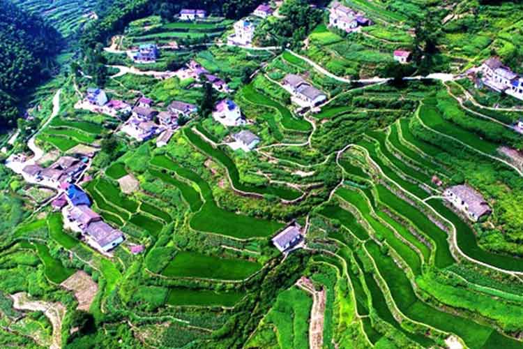 綠水青山就是金山銀山,凱瑞特重工助力環境保護