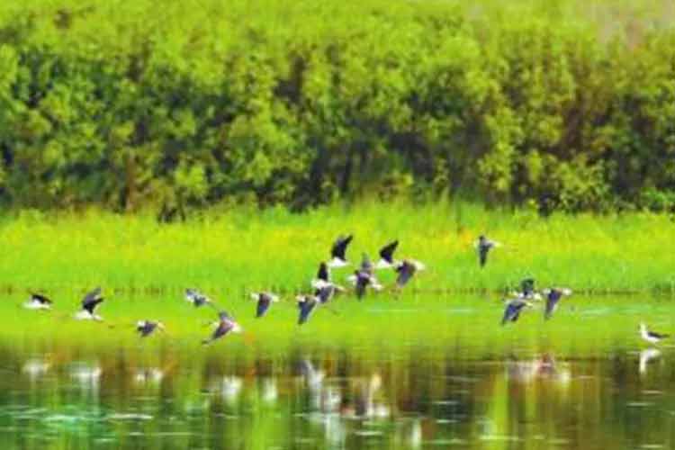 綠水青山就是金山銀山,凱瑞特重工助力環境保護