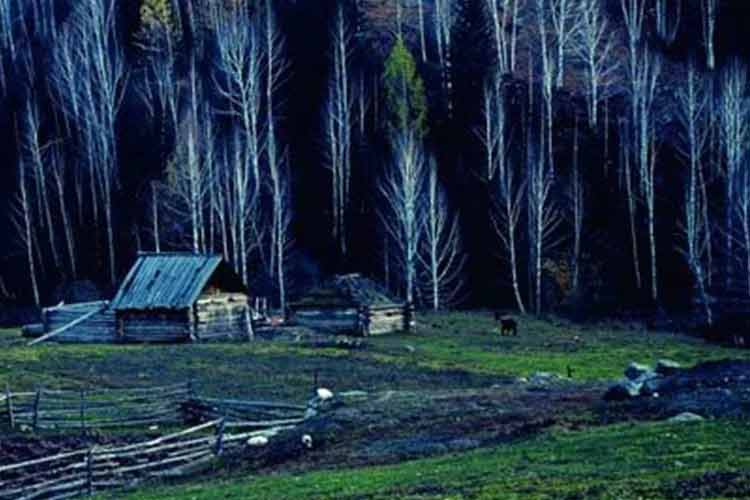 綠水青山就是金山銀山,凱瑞特重工助力環境保護